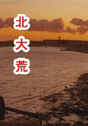 成人福利免费视频